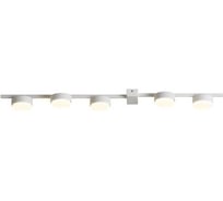 Потолочный светильник Freya FR5182CL-05W
