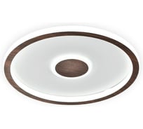 Потолочный светильник Freya FR5421CL-L80BR