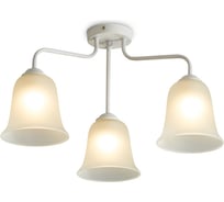 Люстра Freya FR5448CL-03W