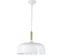 Подвесной светильник Arti Lampadari Nicolo E 1.3.P1 W