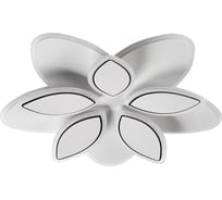 Потолочный светильник LUMION LED 75W LOTUS 8014/75CL