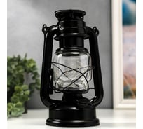 Ночник "Летучая мышь" RISALUX 12LED 2хR20 черный 12х15,5х24см 5249086