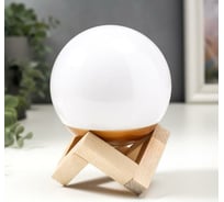 Ночник "Зверята" RISALUX LED USB RGB 9,5х9,5х12,5 см 5478567