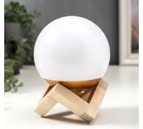Ночник "Колоски" RISALUX LED USB RGB 9,5х9,5х12,5 см 5478565