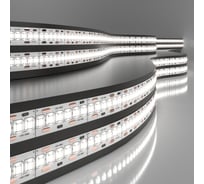 Светодиодная лента Elektrostandard 2835 12V 240Led 24W IP20 4200K дневной белый a050175