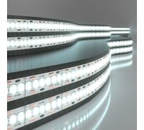 Светодиодная лента Elektrostandard 2835 12V 240Led 24W IP20 6500K холодный белый a050176