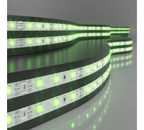 Светодиодная лента Elektrostandard 2835 12V 60Led 4.8W IP20 60Led 4.8W IP20 зеленый a046022