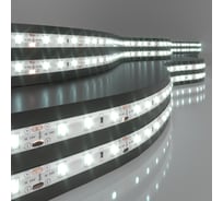 Светодиодная лента Elektrostandard 2835 24V 60Led 4,8W IP65 6500K холодный белый a052958