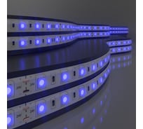 Светодиодная лента Elektrostandard 5050 24V 60Led 14.4W IP20 синий a052975