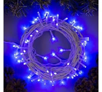 Гирлянда-нить Luazon SPEC, IP44, 10 м, Н.Б. УМС-2W, LED-100-24В, без БП, 8 режимов, синий 5167154