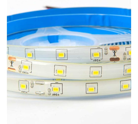 Светодиодная лента General Lighting Systems 4,8Вт/м, 60 диодов/м, 24В, 6500К, 420Лм/м, IP65, GLS-2835-120-9.6-24-IP20 500512