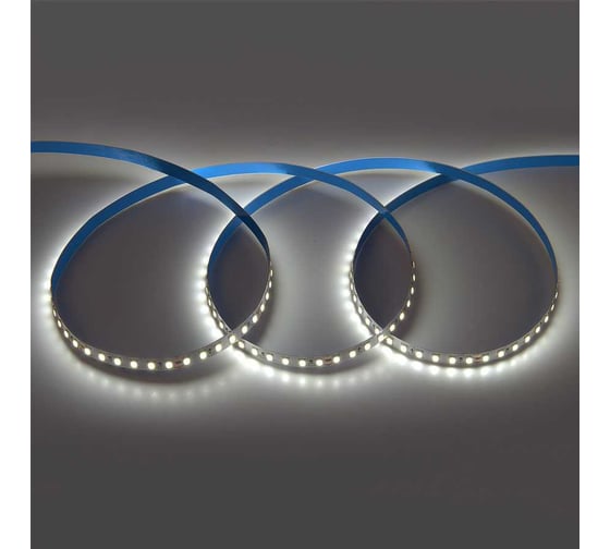 Светодиодная лента General Lighting Systems 9,6Вт/м, 120 диодов/м, 24В, 6500К, 840Лм/м, IP20, GLS-2835-120-9.6-24-IP2 501412
