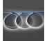 Светодиодная лента General Lighting Systems 9,6Вт/м, 120 диодов/м, 24В, 6500К, 840Лм/м, IP20, GLS-2835-120-9.6-24-IP2 501412 1