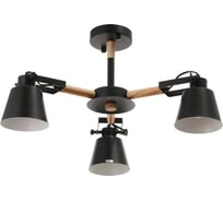 Люстра BayerLux 1054/3BK E27 60Вт черный 60х60х50 см 5202325