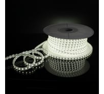 Светодиодная лента Elektrostandard LS014 220V 8W 60Led 2835 IP65 6500 холодный белый 50м a053638