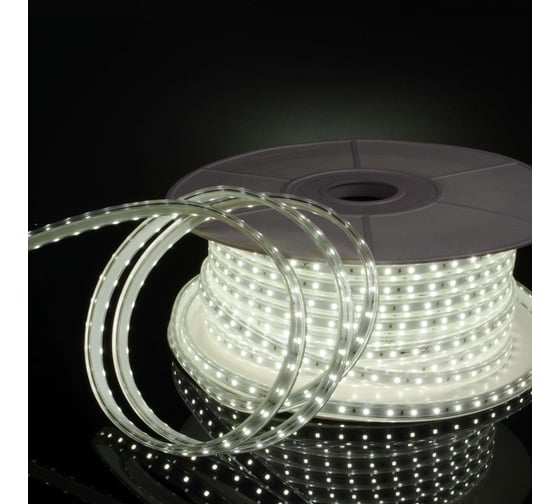 Светодиодная лента Elektrostandard LS014 220V 8W 60Led 2835 IP65 6500 холодный белый 50м a053638