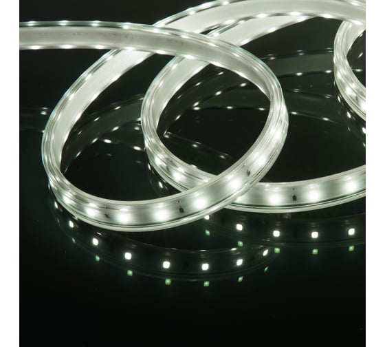 Светодиодная лента Elektrostandard LS014 220V 8W 60Led 2835 IP65 6500 холодный белый 50м a053638