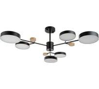 Люстра BayerLux 1075/6BK LED 72Вт черный 98х98х60 см 5202365