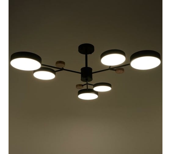 Люстра BayerLux 1075/6BK LED 72Вт черный 98х98х60 см 5202365