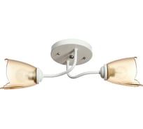 Люстра BayerLux 1341001/2BR E27 15Вт белый-коричневый 4533429