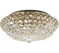 Потолочный светильник Arti Lampadari Asti E 1.2.40.100 G