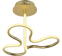 Потолочный светодиодный светильник Arti Lampadari Angelo L 1.2.35.03 G