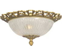 Потолочный светильник Arti Lampadari Vigilanza E 1.13.38 AG