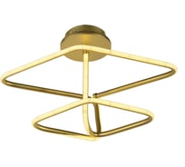 Потолочный светодиодный светильник Arti Lampadari Angelo L 1.2.35.08 G