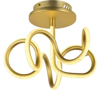 Потолочный светодиодный светильник Arti Lampadari Angelo L 1.2.35.06 G