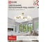 Светильник потолочный под лампу IN HOME AURORA LUNA-8G9-LT 8xG9 матовые плафоны, латунный корпус 4690612062778 7