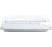 Аварийный светильник FERON 20 LED AC/DC, белый, EM100 41535