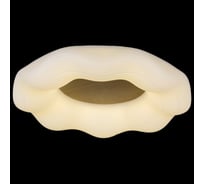 Потолочный светодиодный светильник Reluce 01029-0.3-01 WOOD