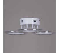Потолочный светодиодный светильник Reluce 09812-3.3-03A WH