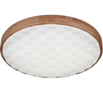 Потолочный светодиодный светильник Reluce 60530-0.2-60W