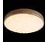 Потолочный светодиодный светильник Reluce 60530-0.2-60W 2