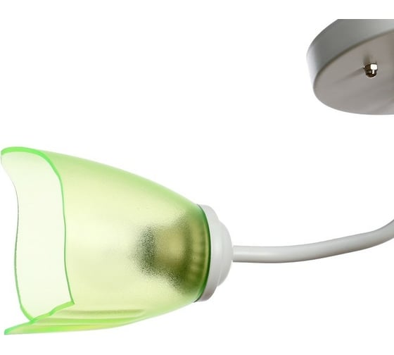 Люстра BayerLux 1341002/2GN E27 15Вт белый-зеленый 4533436