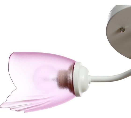 Люстра BayerLux 1341002/2PK E27 15Вт белый-розовый 4533437