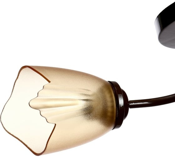 Люстра BayerLux 1341003/2BR E27 15Вт коричневый 4533441