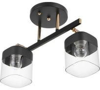 Люстра BayerLux 8541/2 2х60Вт Е27 черный GBV-0029 6924571