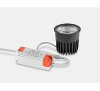 Модуль светодиодный TRIAC SWG DL-FT01-12-NW-TR, 4000K, 12Вт, шт 00-00038473