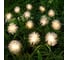 Гирлянда-нить Luazon DECOR, IP44, на солнечной батарее, Ежики, 4.5 м, Н.Т. LED-30-1.2V, 2 режима, теплый белый 6253359 1