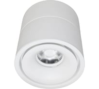 Накладной светильник Lumina Deco Westos LDC 8056-GYN-12WCOB D80хH100 WT
