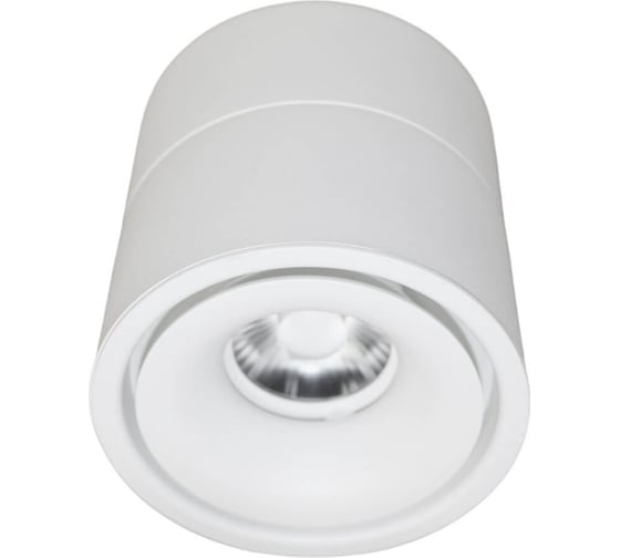 Накладной светильник Lumina Deco Westos LDC 8056-GYN-12WCOB D80хH100 WT 1