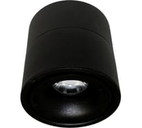 Накладной светильник Lumina Deco Westos LDC 8056-GYN-12WCOB D80хH100 BK