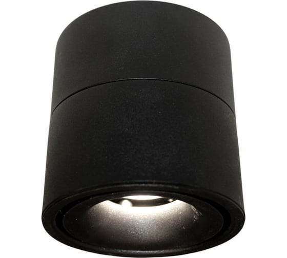 Накладной светильник Lumina Deco Westos LDC 8056-GYN-12WCOB D80хH100 BK