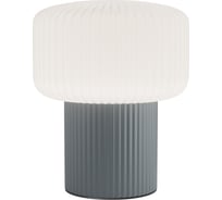 Настольный светильник Maytoni MOD404TL-01GR