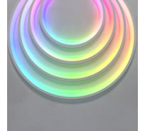 Гибкий неон Maytoni 1313 24В 14,4Вт/м RGB IP67 5м 200841