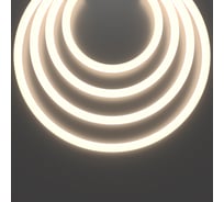 Гибкий неон Maytoni LNM-D18-24V-14,4W-4K-R-IP65 201147