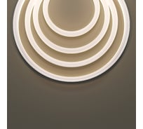 Гибкий неон Maytoni 12x12 24В 12Вт/м 3000K IP67 5м 432022