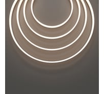 Гибкий неон Maytoni 12x6 24В 10Вт/м 3000K IP67 5м 432029